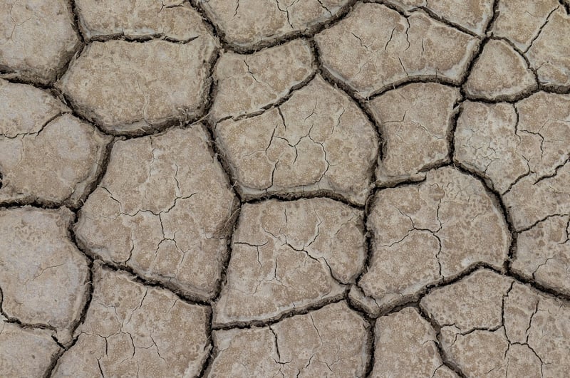 Climate Catastrophe